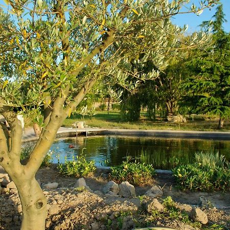 Le Mas Du Caprier Charleval  Εξωτερικό φωτογραφία